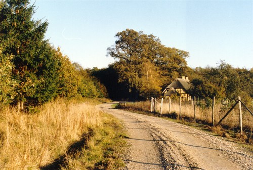 Efterår
