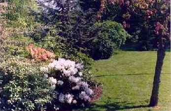 Forsommer
